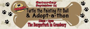 adoptathon turtle even